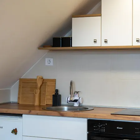 Lejlighed Draskovic Zlatibor